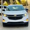 Chevrolet équinoxe 2019 thumb 0