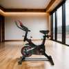 Vélo de fitness d'appartement - vélo manuel 300 Kg De Charge thumb 5