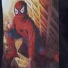Déguisements enfants Spiderman - Ninja- incredibles thumb 1