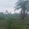 Verger de 2H à vendre Mboro plage thumb 6