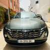 Hyundai Tucson Anne 2023 thumb 0