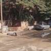 Terrain 800m2 à vendre au Point E thumb 5