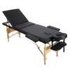 Lit table massage professionnel bois 3plie thumb 0