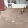 🐶 7 chiots mâles Malinois disponibles à la réservation 🐶 thumb 2