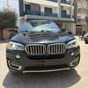 Bmw x5 2017 thumb 0