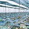 Serre agricole thumb 0