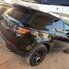 Land Rover Discovery thumb 0