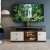Meuble TV modernes en bois thumb 0