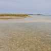 TERRAIN EXCEPTIONNEL À VENDRE – ÎLE DE SIMAL SINE-SALOUM thumb 0