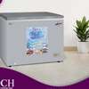 CONGELATEUR 350LITRES ROCH HORIZONTAL GRIS thumb 0