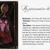 La collection lima artiste autodidacte thumb 7