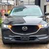Mazda CX-5 2019 thumb 0