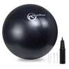 Ballon gym 500 lbs violet antidérapant taille standard thumb 6