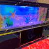 Très jolie et  grand Aquarium de 250 Litres et 1m50 de long thumb 4