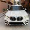 BMW X3 _2019 thumb 0