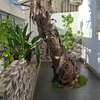 Villa R + 1, 225 m2,  Cité Ridwan,  M'Bao TF thumb 3