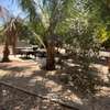 VILLA SUR TERRAIN 8700M2 KEUR YOUNGAR thumb 2