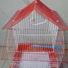 Cage oiseaux thumb 1