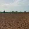 CHAMPS 2 Hectares à Vendre à Sangué (Thiès) thumb 0
