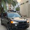 BMW X5 2018 thumb 0