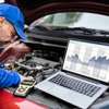 diagnostic automobile (Magal et hivernage) thumb 1