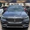 BMW X3 ANNEE 2019 thumb 1