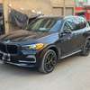 Bmw x5 anne 2019 thumb 4