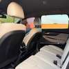 HYUNDAI SANTAFEE 2020 thumb 9