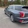 Hyundai Palisade thumb 6