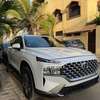 Hyundai Santa Fe 2022 thumb 7