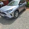 Toyota Rav4 2019 thumb 1