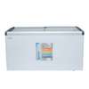 CONGELATEUR 600LITRES SMART TECHNOLOGY HORIZONTAL VITRINE thumb 1