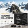 Shilajit Résine Pure Tonus Naturelle thumb 1