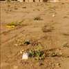 Terrains de 200m2 à vendre à MBOUR 4 thumb 1
