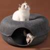 tunnel en forme de donut thumb 1