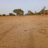 Location de Terrain Agricole de 3,48 ha vers  Saint – Louis thumb 3