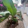 VILLA A VENDRE DANS UNE RESIDENCE SECURISEE 24/24 à Saly 🌊 thumb 2
