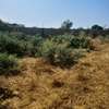 Terrain nu, spacieux de 500m2,  accessible pour entrepôt thumb 0