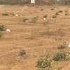 Terrain de 200m2 à vendre à NGUEMBE - THIES thumb 2