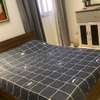 Appartement meublé f3 au plateau thumb 7