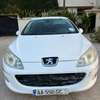 Peugeot 407 Année 2009 thumb 0