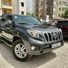 TOYOTA LAND CRUISER 2013 thumb 1
