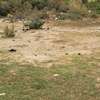 Terrains a vendre a Keur Ndiaye Lo thumb 2