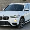 BMW X1 2017 thumb 0