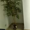 Decoration a vendu thumb 0