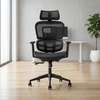 Chaise de Bureau ergonomique thumb 1