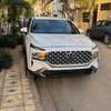 Hyundai Santa Fe 2022 thumb 13