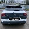 C4 Cactus thumb 2