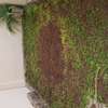 villa louer mermoz thumb 0