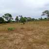 Terrain Agricole de 4.300 m² vers Tassette – Thiès thumb 0